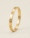 Classic Screw-Style Stainless Steel Bracelet